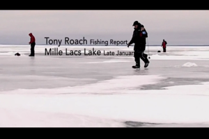 1Source Video: Catching Perch With Tony Roach