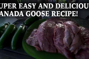 Easy and Delicious Canada Goose Recipe