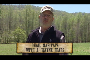 1Source Video: Quail Habitats with J Wayne Fears