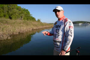 1Source Video: Sight Fishing Part 3: Catch Bedding Bass