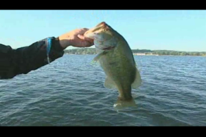 1Source Video: Cold Front Michigan Largemouth with Kevin VanDam