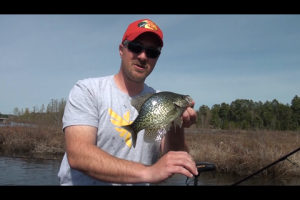 1Source Video: Pitch Lite Jigs For Panfish in The Spring and Early Summer