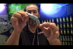 1Source Video: New Sebile Lures For 2015