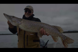 1Source Video: Quick Strike Rigs for Fall Trophy Pike