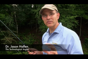1Source Video: Select The Best Trees For Summer Panfish