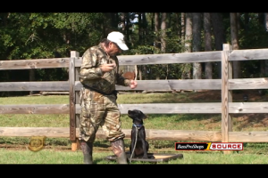 1Source Video: Hunting Dog Training: Set the Foundation for Your Pup