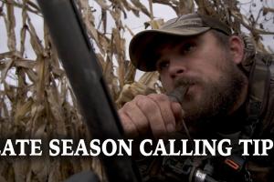 Late Season Calling Tips