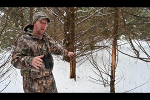 1Source Video: Post Season Deer Scouting: Reading Rubs