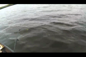 1Source Video: Pike Fishing From The Canoe