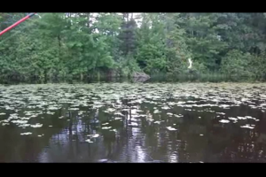 1Source Video: Pitching Jigs For Crappies