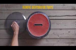 How to Make Fruit Roll-Ups in a Dehydrator