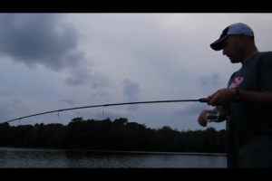 1Source Video: Berkley Gulp Alive Crappie Fishing Tips