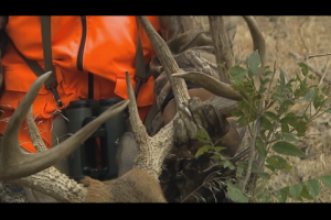 1Source Video: KVD & Jerry Martin Hunt Monster Kansas Whitetails Part 2