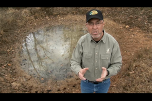 1Source Video: How to Use Dry Conditions to Your Advantage When Deer Hunting