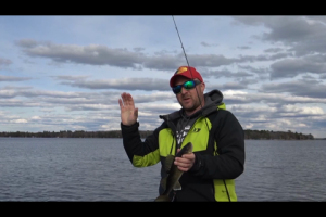 1Source Video: Target The Reeds For Walleye and Pike in The Spring Time