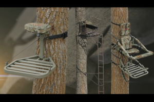 1Source Video: Learning the Basics on Three Types of Tree Stands
