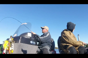 1Source Video: Fall Transition Crappies