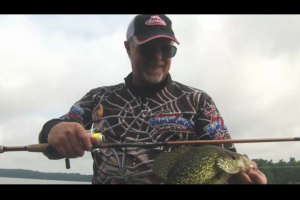 1Source Video: Crappies on Gulp Alive Minnow Grubs