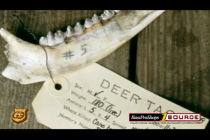 1Source Video: Collecting Data and Aging Deer