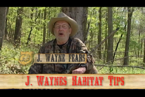 1Source Video: Do You Want Wild Hogs On Your Property?