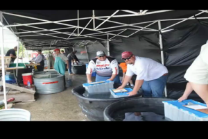 1Source Video: Day Two Mercury Marine National Walleye Tournament Slide Show