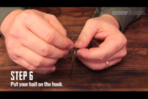 1Source Video: How to Tie the Drop Shot Rig