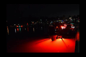 1Source Video: 2014 Bassmaster Elite on Seminole Day One Slide Show