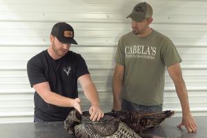 How To Prep A Turkey For The Taxidermist | Cabela's Turkey Roost 