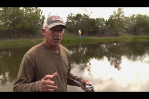 1Source Video: Clark Wendlandt's Pond Fishing Fun Bait Tips