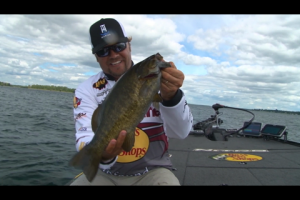 1Source Video: Find the Gobies Find the Smallmouth