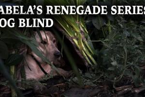 Northern Flight Renegade Series Dog Blind