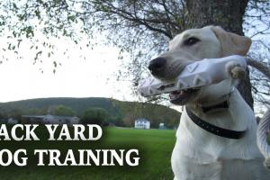 Backyard Dog Training