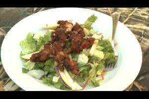 Wild Turkey Salad Recipe