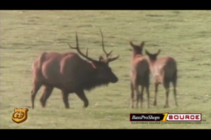 1Source Video: Elk Management with J Wayne Fears