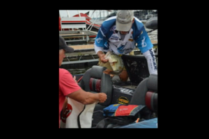 1Source Video: 2014 FLW Tour Kentucky Lake Day 1 Slide Show