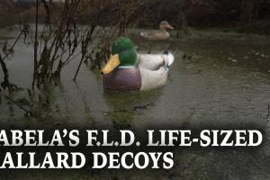 Northern Flight F.L.D. Decoys