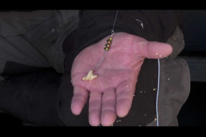 1Source Video: New Lindy Perch Talker on Fish Ed