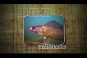 1Source Video: How to Catch Giant Pike in Spring
