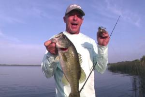 New Lakes Part 2 – Patterning Fish