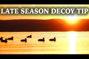 Late Season Decoy Tip