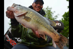 1Source Video: FLW Pickwick Lake Day One Slide Show