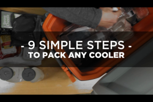 1Source Video: How-To Pack Any Cooler for Best Results