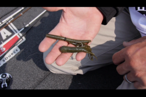 1Source Video: Watch the Weather to Catch More Smallmouth