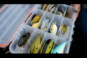 1Source Video: Selecting Square Bill Crankbait Colors With KVD