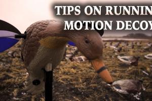 MoJo Motion Decoy Tips