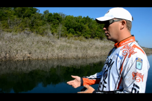 1Source Video: Topwater Walk the Dog Action