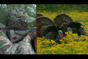 1Source Video: Wide Open Turkey Hunting in Texas