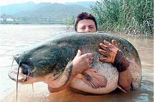 News & Tips: 10 of The World's Meanest & Ugliest Game Fish...