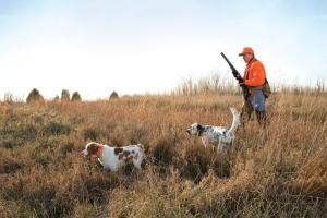 News & Tips: 6 Tips for Successfully Locating Downed Birds...