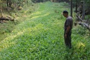 News & Tips: Frost Seeding: An Early Spring Food Plot Fixer...